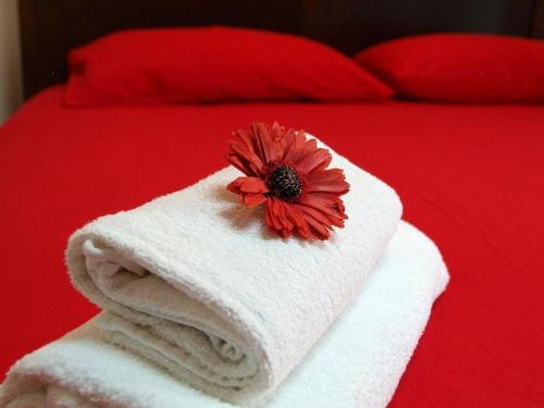 a white towel with a flower on top of a bed at Mon Perin Castrum - Casa Felice in Bale