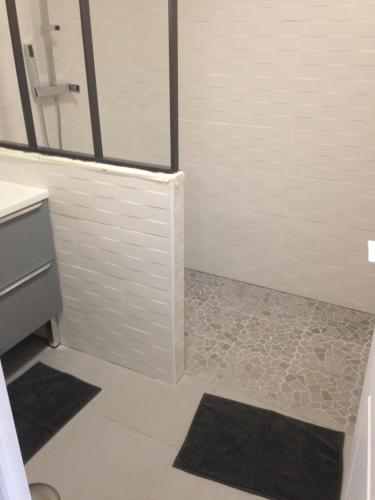 a bathroom with a shower and a sink and a toilet at Maison indépendante in Marseille