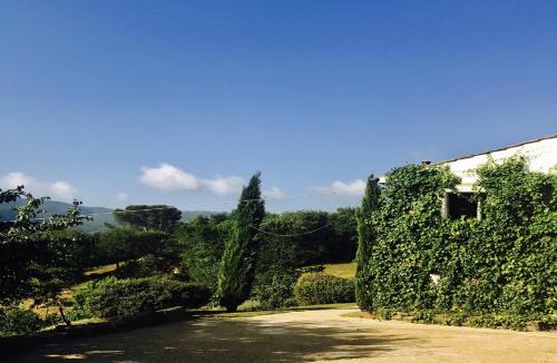 Naturlandschaft in der Nähe der Lodge