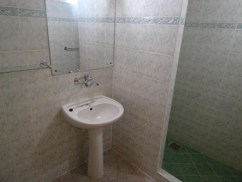 a bathroom with a sink and a shower at U Nás - Apartmán Jelen in Vápenná