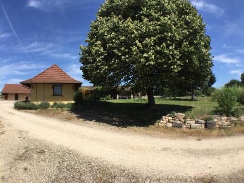 a house with a tree next to a dirt road at Domaine de la Loge in Flacey-en-Bresse