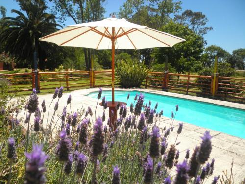 an umbrella next to a swimming pool with purple flowers at La Posta de la Laguna in La Paloma