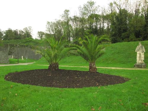 Afbeelding uit fotogalerij van Les Victoriennes in Verdun-sur-Meuse