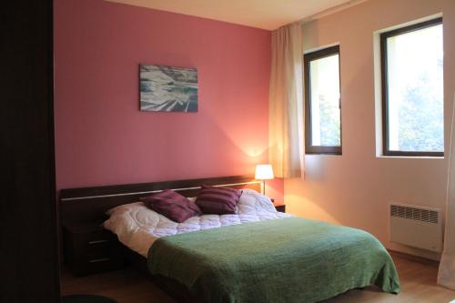バンスコにあるFortuna Luxury Apartmentのベッドルーム1室(ベッド1台、窓2つ付)