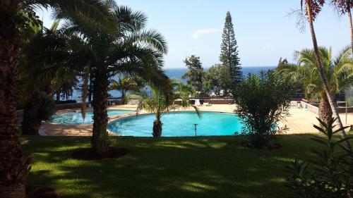 een zwembad met palmbomen en de oceaan bij Shearwaters - Sounds of the sea in Funchal