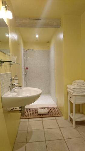 une salle de bain avec un lavabo et une douche dans l'établissement Domaine de Bourgville, à Monts-sur-Guesnes