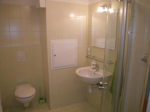 a small bathroom with a toilet and a sink at Apartmán u Aurory in Třeboň