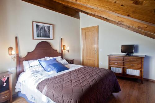 a bedroom with a large bed and a tv at Apartamentos El Rincón de Benás in Benasque