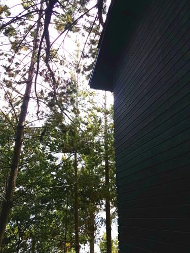 a tall building with trees in the background at La Quinta Glamping - Lago de Tota in Cuítiva