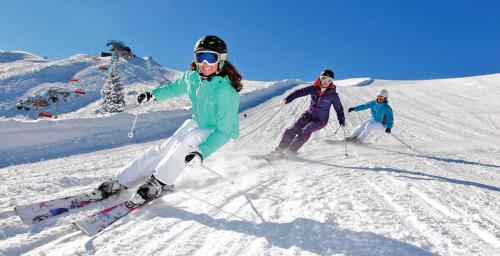 Gallery image of Astoria Lux - K16 Milmari in Kopaonik