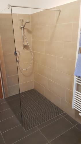 a shower with a glass door in a bathroom at Pension Lischenhof in Ehrwald