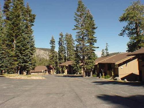 an empty road in front of a house with trees at Mammoth Point by 101 Great Escapes in Mammoth Lakes