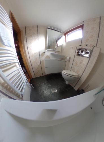 a small bathroom with a toilet and a sink at Apartments Pia in Subotica