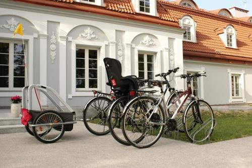 Pałac Domaniowski tesisinde veya etrafında bisiklete binme