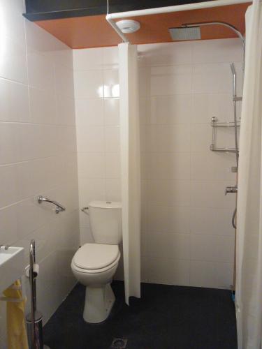 une petite salle de bain avec toilettes et douche dans l'établissement Gites Gayet, à Saint-Androny