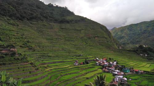 a group of people sitting on a terraced field at Batad Lhorens Inn and Restaurant in Banaue