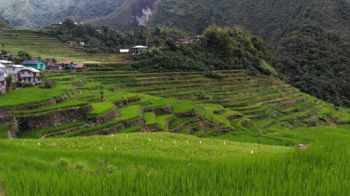 Photo de la galerie de l'établissement Batad Lhorens Inn and Restaurant, à Banaue