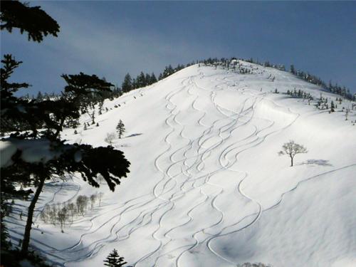 a snow covered hill with trees on top of it at Kagura White Horse Inn in Yuzawa