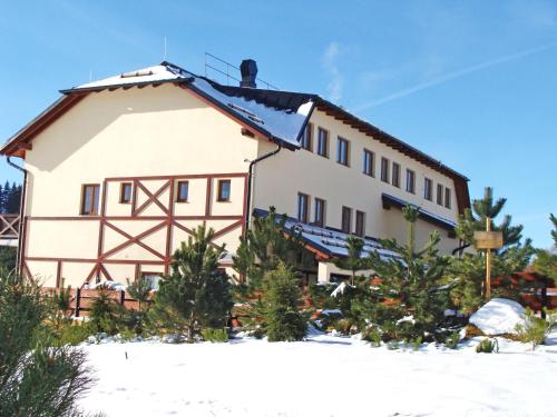 a house in the snow with trees in front of it at Penzion Na Vršku in Branná
