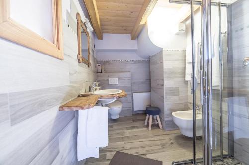 een badkamer met een wastafel, een toilet en een douche bij Alpe Rebelle in Bionaz