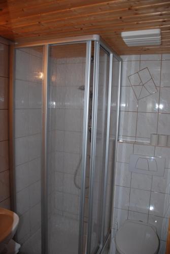 a bathroom with a shower and a toilet at Pension Bäuerle in Heiligenblut