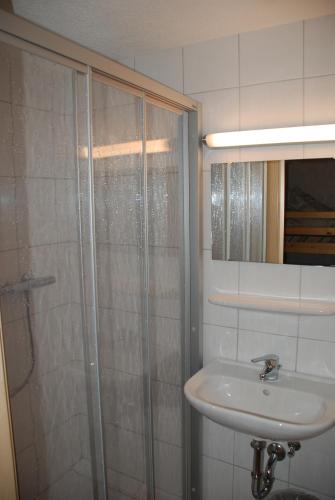 a bathroom with a shower and a sink and a mirror at Pension Bäuerle in Heiligenblut