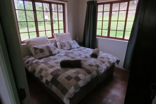a bedroom with a bed with a plaid blanket and windows at Out of Plett in Plettenberg Bay