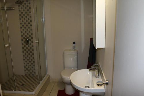a bathroom with a toilet and a shower and a sink at Dante Deo Guesthouse in Bloemfontein