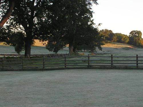 a fence with trees and a field in the background at Green Grove Country House in Malham