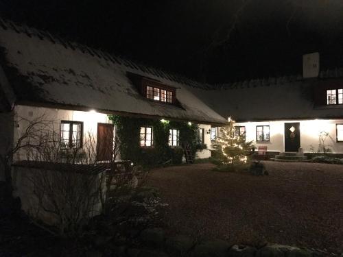 a house with a christmas tree in the yard at night at Husargårdens Bed & Breakfast in Sjöbo