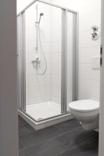 a bathroom with a shower and a toilet at Appartement am Schloss in Gießen