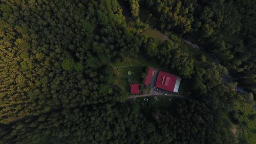 Příroda nedaleko kempu