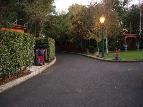 a driveway with a hedge and a street light at The Stables B&B in Antrim