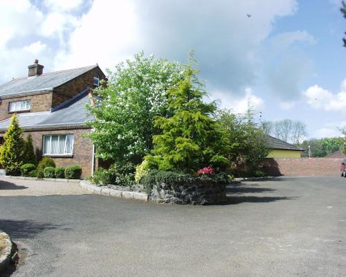 a house with a large tree in the driveway at The Stables B&B in Antrim