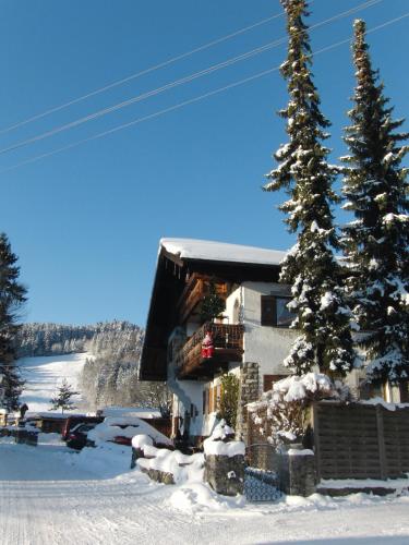 a house in the snow with a christmas tree at Haus Christoph in Bad Wiessee