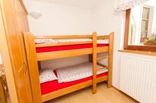 a couple of bunk beds in a room at Tourist Farm Pri Martinovih in Krška Vas