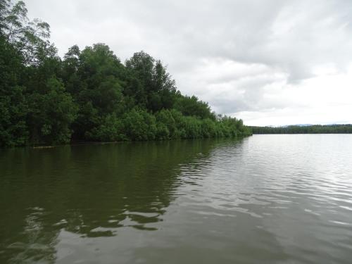 a body of water with trees on the side at Hostel Osa Tucan Drake in Drake
