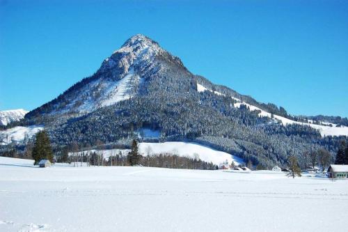 a mountain in the distance with a snow covered field at Greenheart Aussee in Obersdorf