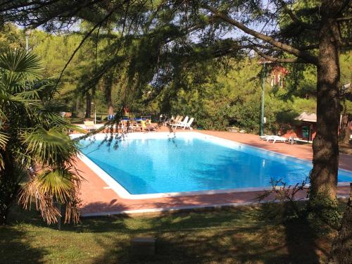 Una gran piscina en un patio con árboles. en Clorofilla, en Desenzano del Garda