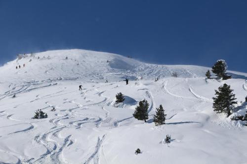 a group of people skiing down a snow covered mountain at Steinlechner-Meyer Elisabeth in Stumm
