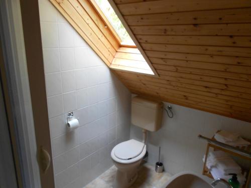 a bathroom with a toilet and a skylight at Remser Haus in Zalakaros