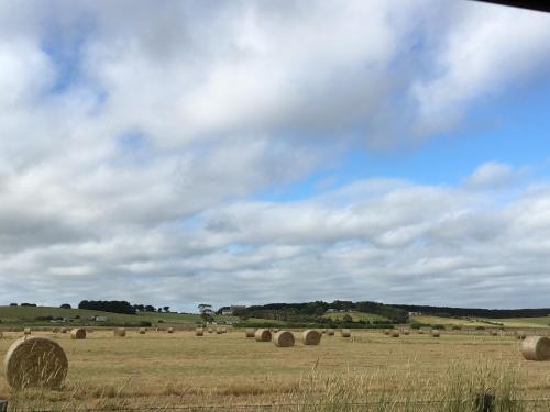 a field full of hay bales on a cloudy day at Province in Portland