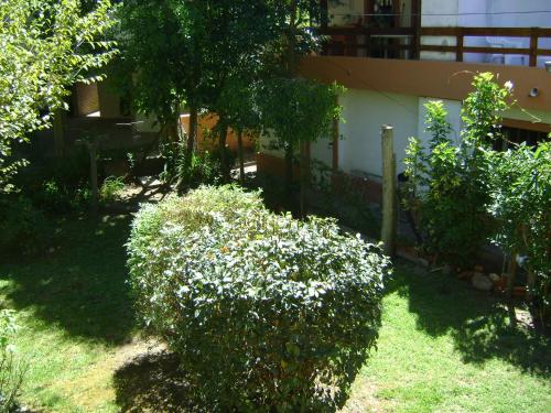 Del Cangrejo 1089 – Photos 2