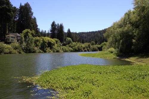 Inn on the Russian River – Photos 4