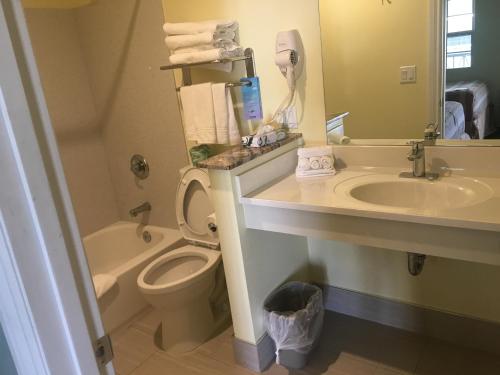 a bathroom with a sink and a toilet and a mirror at Travelodge by Wyndham Fairfield/Napa Valley in Fairfield