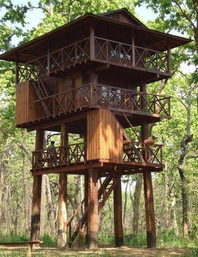 a tree house in the middle of the forest at Hotel Rainforest in Sauraha