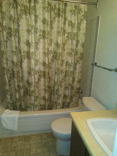 a bathroom with a shower curtain with a toilet and a sink at Rosedale Manor in Duncan