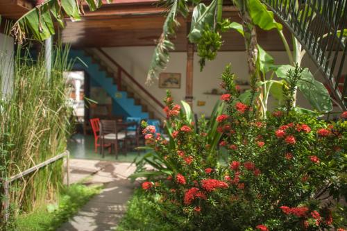 a house with a garden with red flowers and a table at Hostel De Boca en Boca in Granada