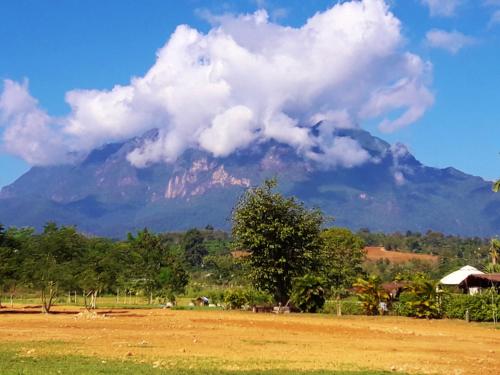 a mountain in the background of a field with at Huan Chiang Dao Resort in Chiang Dao