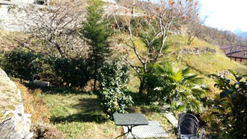 a bench sitting in the grass next to a hill at Casa delle Camelie in Sorico
